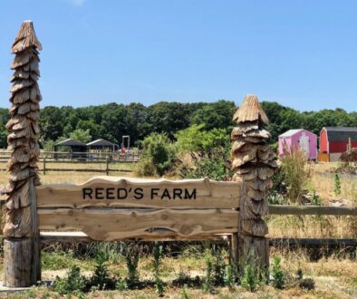 Reed’s Organic Farm